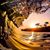 Andoni Ezkerra Sol's profile image
