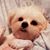 Charlene Mc's profile image