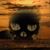 Todd Mw's profile image