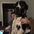 Troy Perkins's profile image