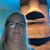 Karensue C Hensley's profile image