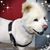 Freda Sandoval's profile image