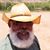 Sidney Parker's profile image