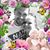 Keri Phillips's profile image