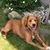 Leslie Heinz Longshore's profile image