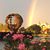 Cherie Siler Turman's profile image