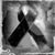 Estela Toledo's profile image