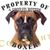 Gary Beish's profile image
