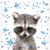 Chelsey Richardson's profile image