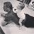 Mary Anderson's profile image