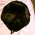 Mandy Coutts's profile image
