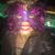 Dee Rosenthal's profile image