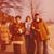 Susan Storm Hausberg's profile image