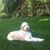 Art Graziano's profile image