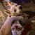 Sue Hecht's profile image