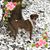 Sandy Ronevich's profile image