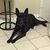 Myrna Garcia's profile image