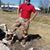David Windwehen's profile image