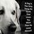 Julia Thyer's profile image
