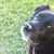 Joan Tirro's profile image