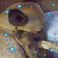 Patricia Johnson-Hart's profile image