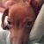 Valerie Palmer's profile image