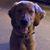Martin Lowe's profile image