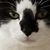 Alison Christie's profile image