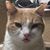 Mike Caron's profile image