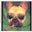 Chester Copperpot's profile image