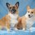 Marilyn Valois's profile image