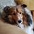 Val Wiese's profile image