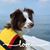 Julie Ann Rogers-Hamann's profile image
