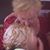 June Byrd's profile image
