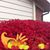 Kathy Irizarry's profile image