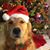 Jackie Guffey Plaetzer's profile image