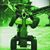 Joe Vieira's profile image