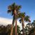 Maxine Teachout's profile image