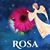Rosa Torres's profile image