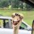 Jason Douglas's profile image