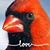 Sharon Atlas's profile image