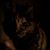 Jackie Yarbrough's profile image