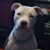 Mike Surette's profile image