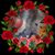 Yolanda Sanchez's profile image