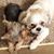 Michelle Korb Hanke's profile image