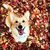 Amanda Cutter's profile image