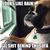 Buddy Dean Holly's profile image