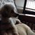 Aleana Yocum's profile image