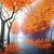 Carla Fabrizio Yingling's profile image