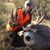 Josh Yeadon's profile image